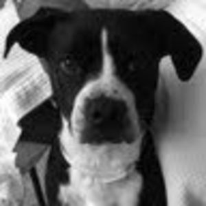 Meet your Posher, Anne